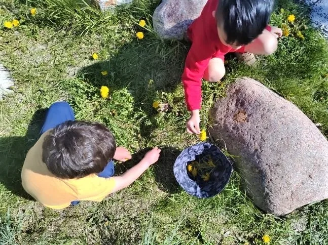 Village Scholars Preschool photo: plant and soil exploring outdoors